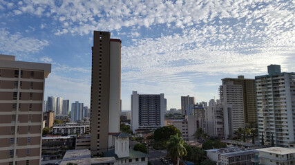 Obraz premium Makiki, and Honolulu Cityscape looking to the ocean from high up with houses and modern highrises