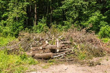 A pile of logs on the edge of timber harvested for combustion in the fireplace
