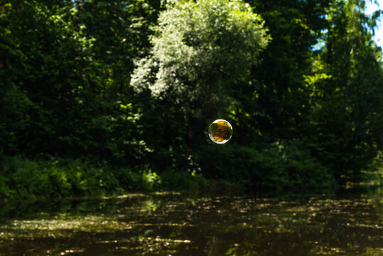 Soap bubble flying over the forest lake and the sky is reflected in it, the water and trees