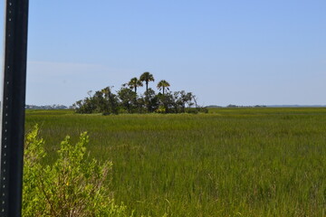Folly Beach