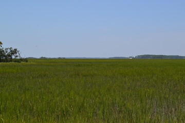 Folly Beach