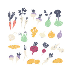 Root vegetables hand drawn icons set illustration isolated on white background.
