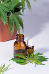 Medical, chemical theme background with cannabis leaves, oil bottle and young marijuana plant in a pot behind.