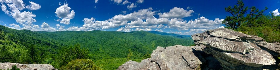 Landscape pano