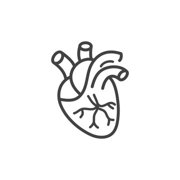 Heart organ outline icon. Medicine and healthcare, medical support sign. Vector illustration.