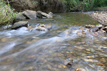 river in the woods