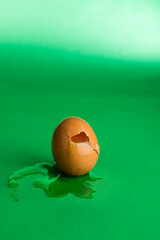 cracked brown egg on green background