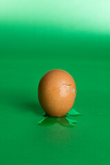 cracked brown egg on green background