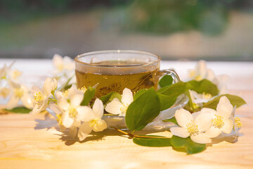Obraz na płótnie Canvas jasmine tea in soft warm evening light with fresh jasmine leaves and flowers