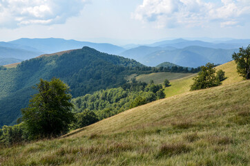 Fototapeta premium Carpathian mountains summer landscape with green sunny hills and valley under blue sky with clouds 
