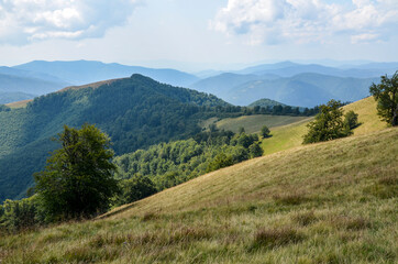 Carpathian mountains summer landscape with green sunny hills and valley under blue sky with clouds 