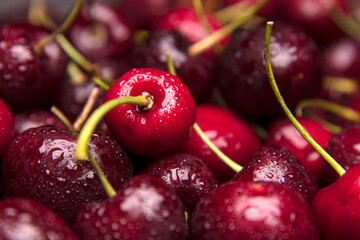 freshly picked sweet cherries