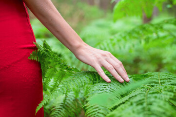 Female hand, with long graceful fingers gently touches the plant, leaves of fern. Close-up shot of unrecognizable person. . High quality photo.