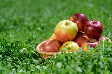 Basket with farmer apples outdoors