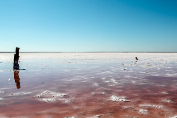 Beautiful landscape with blue sky and pink sea. Salt pink lake. Travel in summer