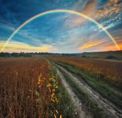 Naklejka premium Rainbow over a picturesque hilly field
