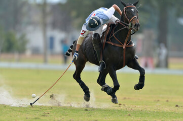 Polo player in action