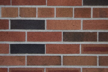 bricks in different colors lined up