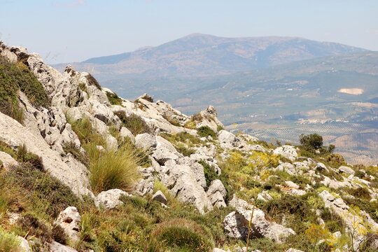 รูปภาพLaderas เลือกดูภาพถ่ายสต็อก เวกเตอร์ และวิดีโอ1,869 Adobe Stock
