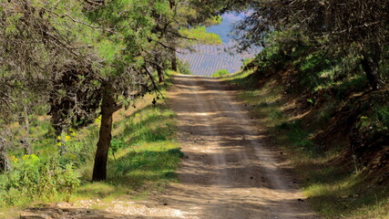 caminos13