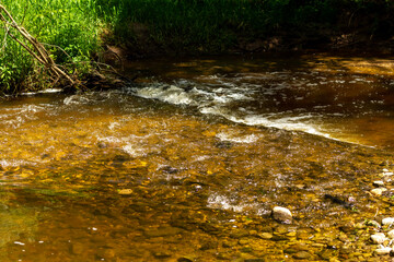 Water. Small natural stream in the park