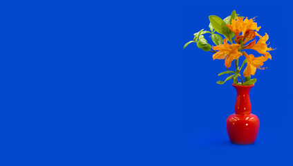 Orange azalea rhododendron flower in a tiny vase on contrast blue background. Photo with free blank copy space for text. Website banners, social media group profile header images, greeting cards etc