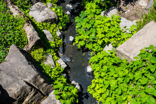 Rivi&egrave;re au milieu du jardin botanique de Montr&eacute;al 