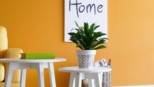 Stylish tables with houseplant and book in interior of living room