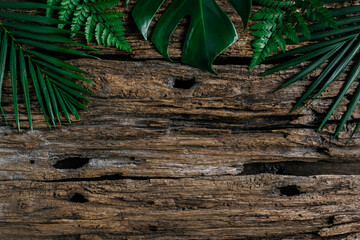 Lay out the creative frame of a tropical flat nature. Place Monstera coconut adn fern on the wood White color, a plastered wall, a rustic grunge with a retro holiday, tropical jungle and travel conce