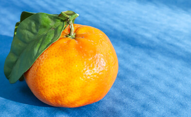 one mandarin with leaves on the left on a blue paper background and with place for text on the right, closeup side view.