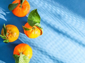 four tangerines with leaves in the form of a rhombus on the left on a blue paper background with a light-shaded pattern and with place for text on the right, close-up top view.