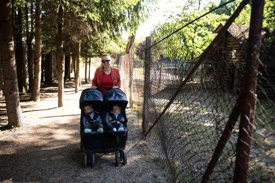 Mother With Babies In Pram Walking In Park