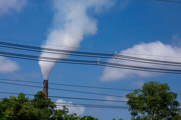 Fototapeta premium electric power line