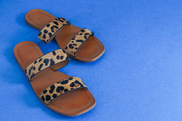 tiger print summer flip flops on a blue paper background, closeup top view.