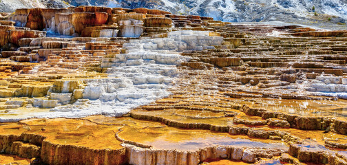 Panoramic Close up of Jupiter and Mound Terraces at Mammoth Hot Springs in Yellowstone National Park © ronniechua