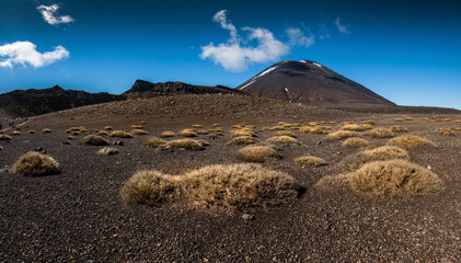 Great walk in national park Tongariro, New Zealand