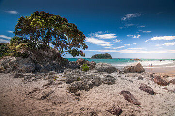 Beach in Mount Maunganui, New Zealand