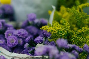 Obraz premium Mini flower yellow and purple background