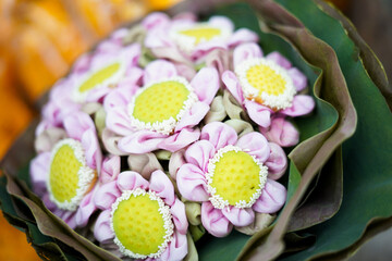 Pink lotus flowers bouquet