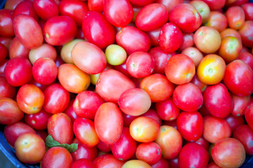 Fototapeta na wymiar Fresh ripe red tomatoes background