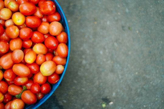 Tomato Thailand (seeda tomato) in blue basket