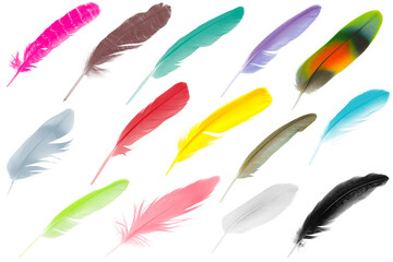 Colorful collection feathers floating in air isolated on white background