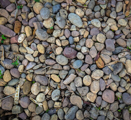 stones on the beach