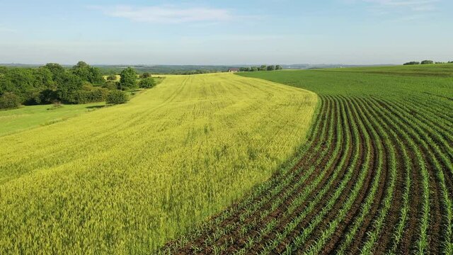 Aerial view of american countryside landscape, farmland. Drone flying over contrast rows of agricultural field. Rural scenery, farm. Sunny daytime, summer season