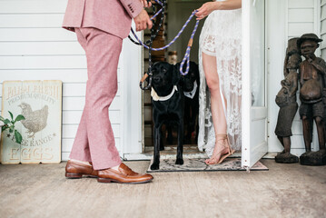 Bride and groom walking their dog