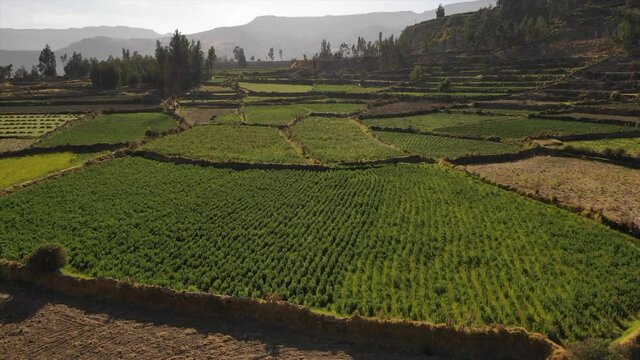 Valle del Colca Peru aereo