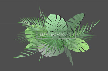 palm leaf background with title box. leaves illustration for graphic design.

