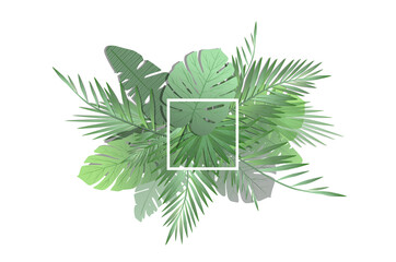 palm leaf background with title box. leaves illustration for graphic design.
