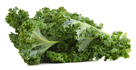 freshly harvested kale cabbage on a white background