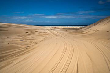 Fototapeta na wymiar Landscape of Sand Dune in Port Stephens at Australia.